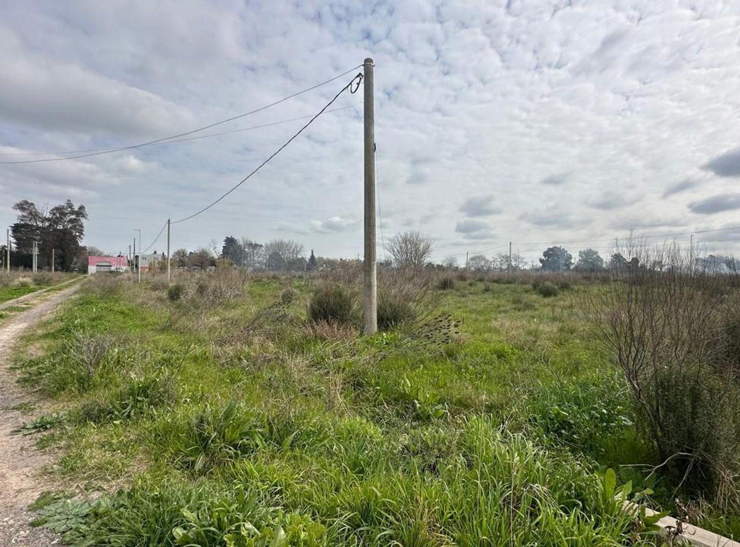 Foto de Lote en Venta San Carlos Ideal Constructora, imagen 4
