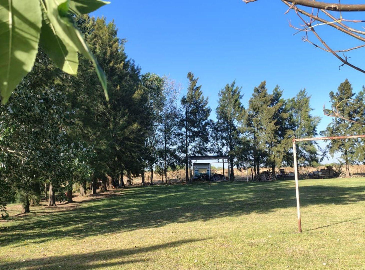 Foto de LOTE EN VENTA EN BERISSO "LA BALANDRA", imagen 4