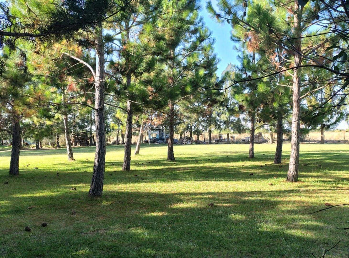 Foto de LOTE EN VENTA EN BERISSO "LA BALANDRA", imagen 3