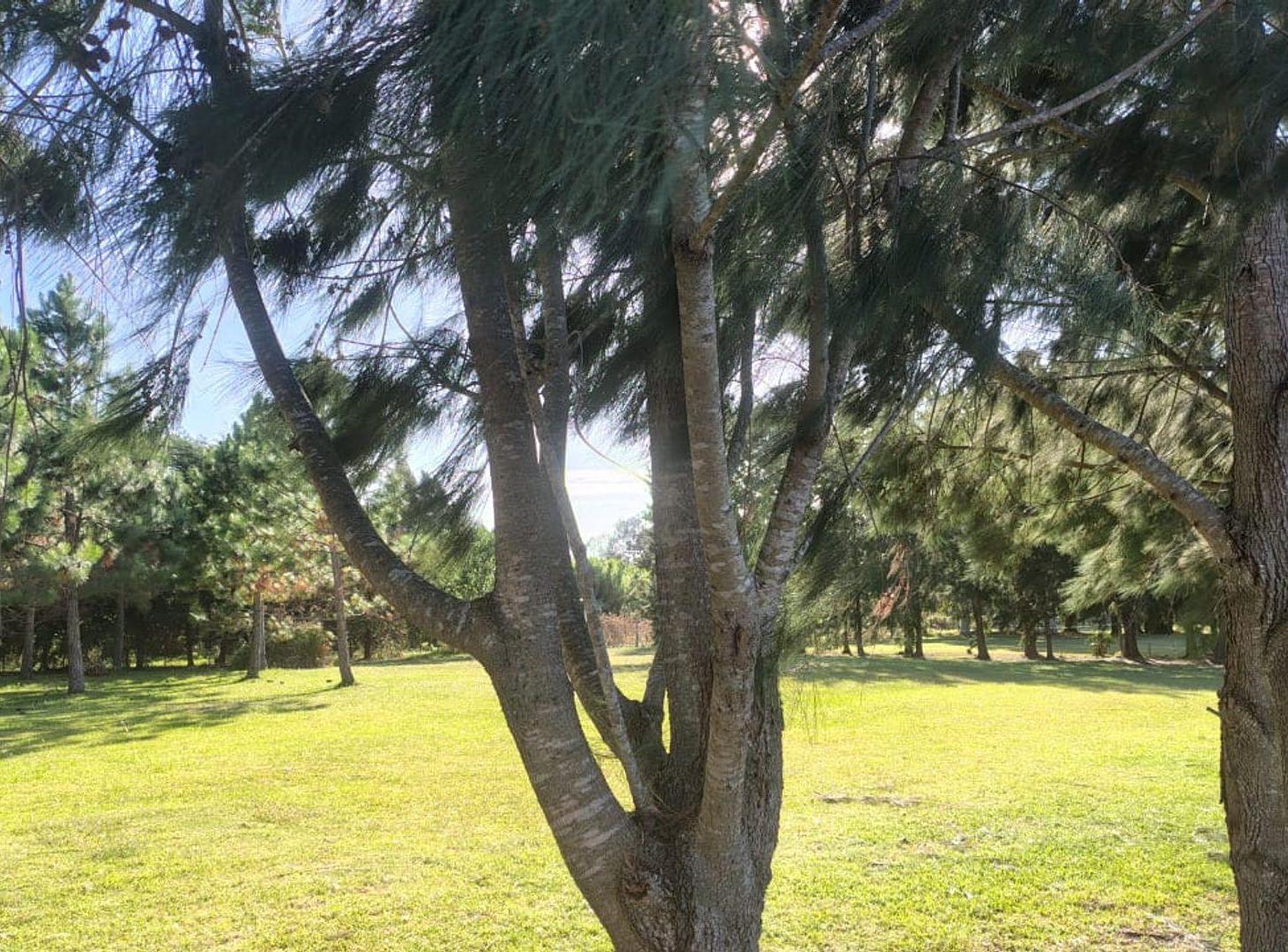 Foto de LOTE EN VENTA EN BERISSO "LA BALANDRA", imagen 5