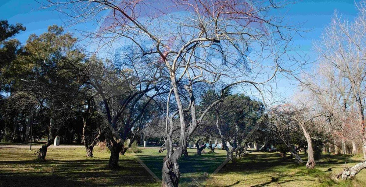 Foto de LOTE EN VENTA EN BARRIO CERRADO LOS CIRUELOS, imagen 2