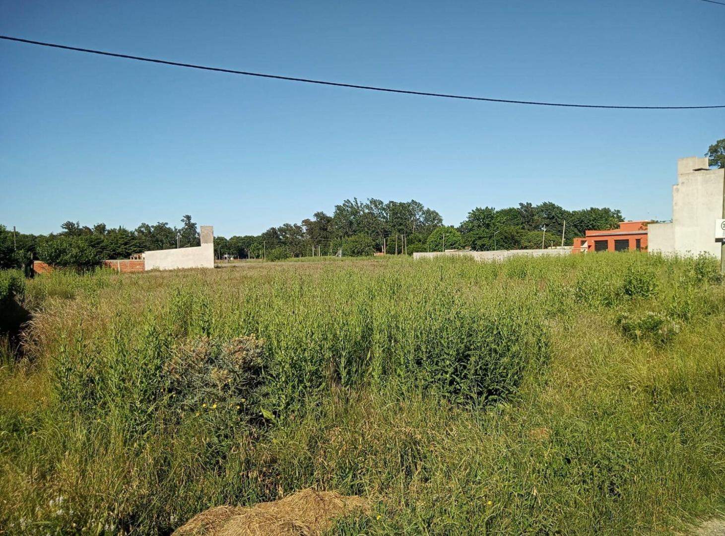 Foto de TERRENO EN VENTA ROMERO, imagen 4