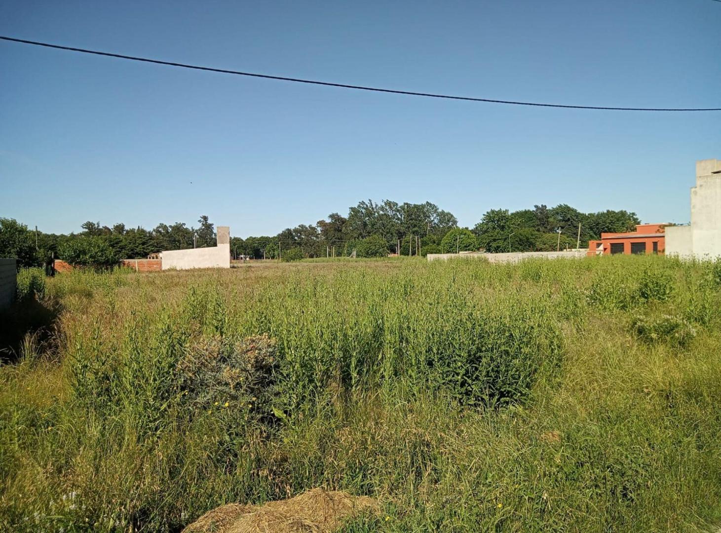 Foto de TERRENO EN VENTA ROMERO, imagen 3