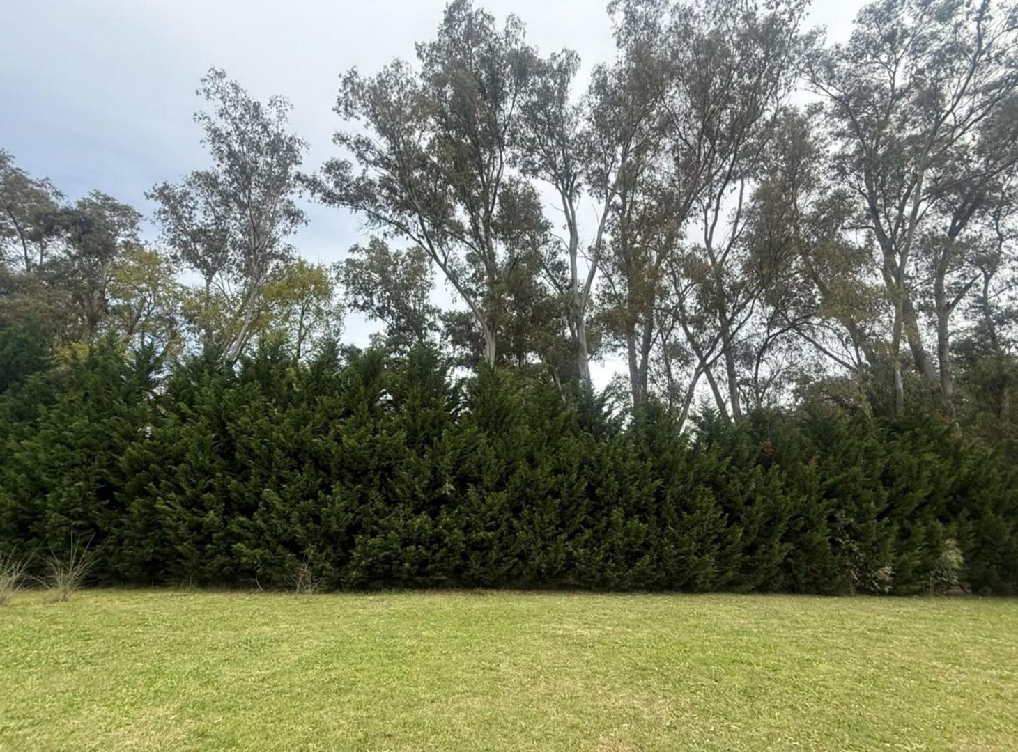 Foto de LOTE VENTA CAMPOS DE ROCA I ESCRITURADO 6.000m, imagen 4
