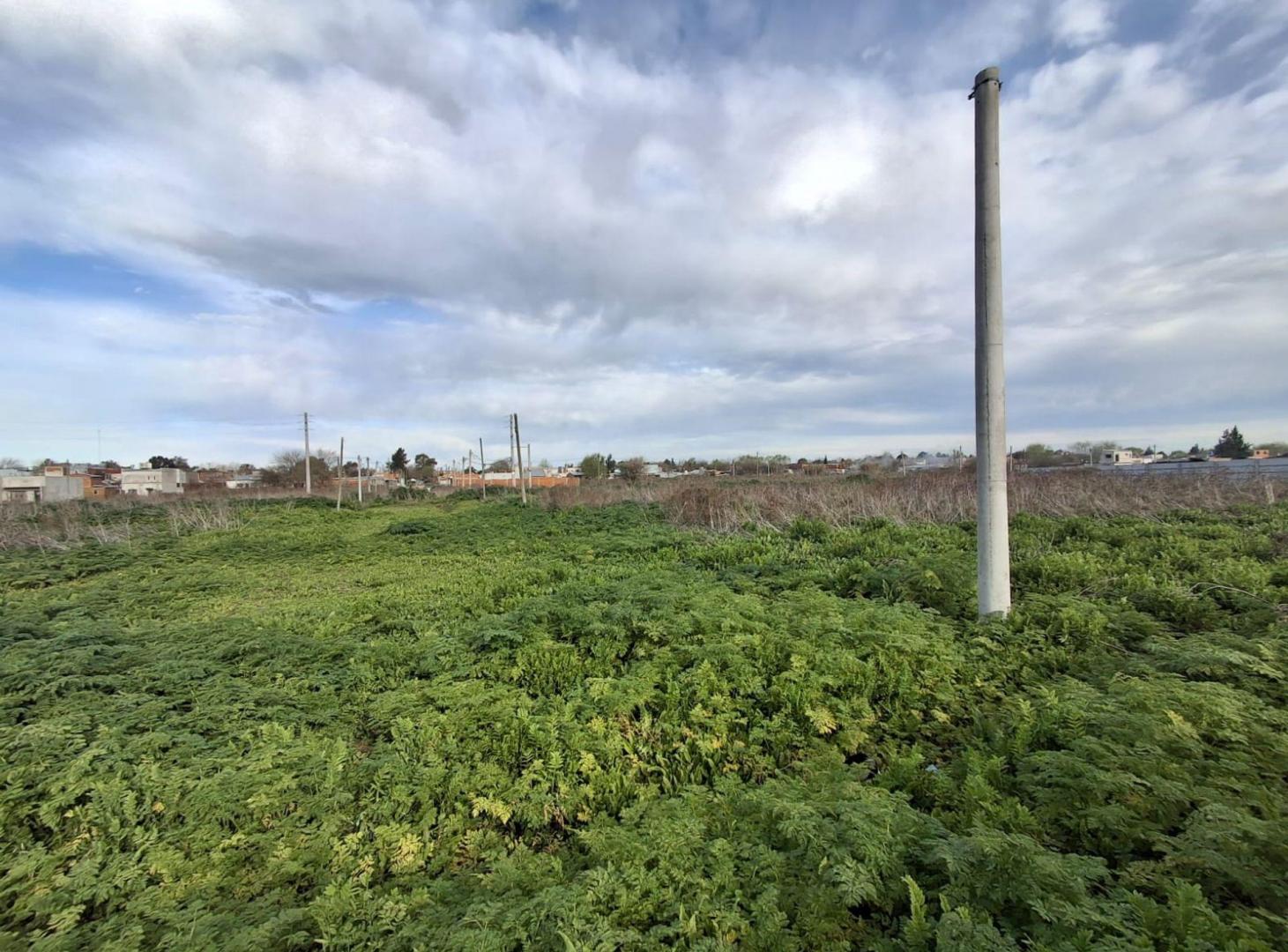 Foto de LOTE EN VENTA MELCHOR ROMERO, imagen 1