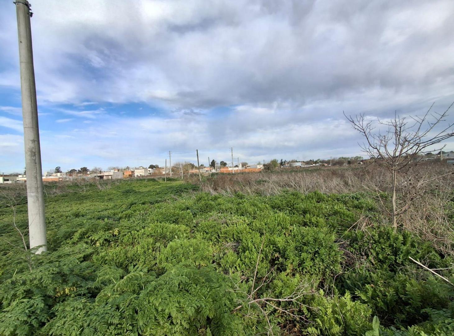 Foto de LOTE EN VENTA MELCHOR ROMERO, imagen 2