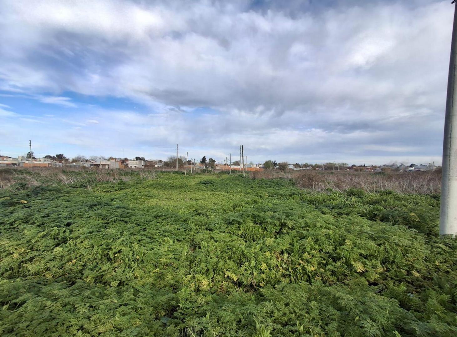 Foto de LOTE EN VENTA MELCHOR ROMERO, imagen 3