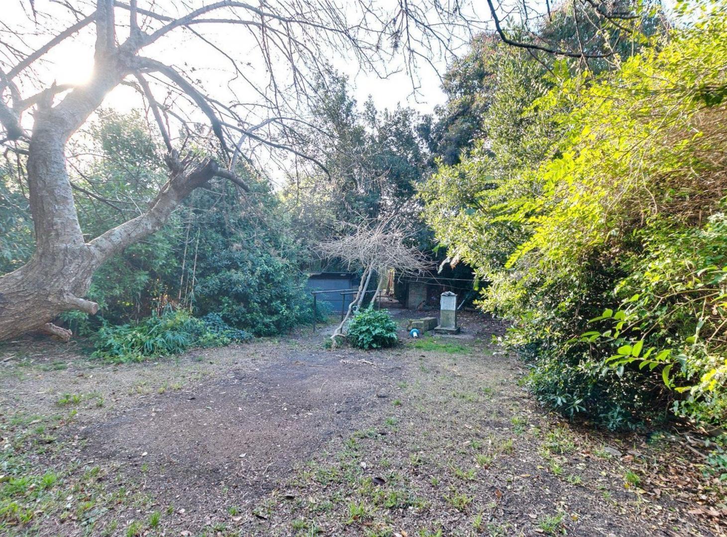 Foto de Casa en venta, Gonnet. 3 dormitorios y parque, imagen 5