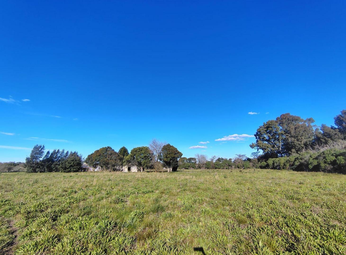 Foto de Lote en venta La Plata mas de 12.000 m2, imagen 4