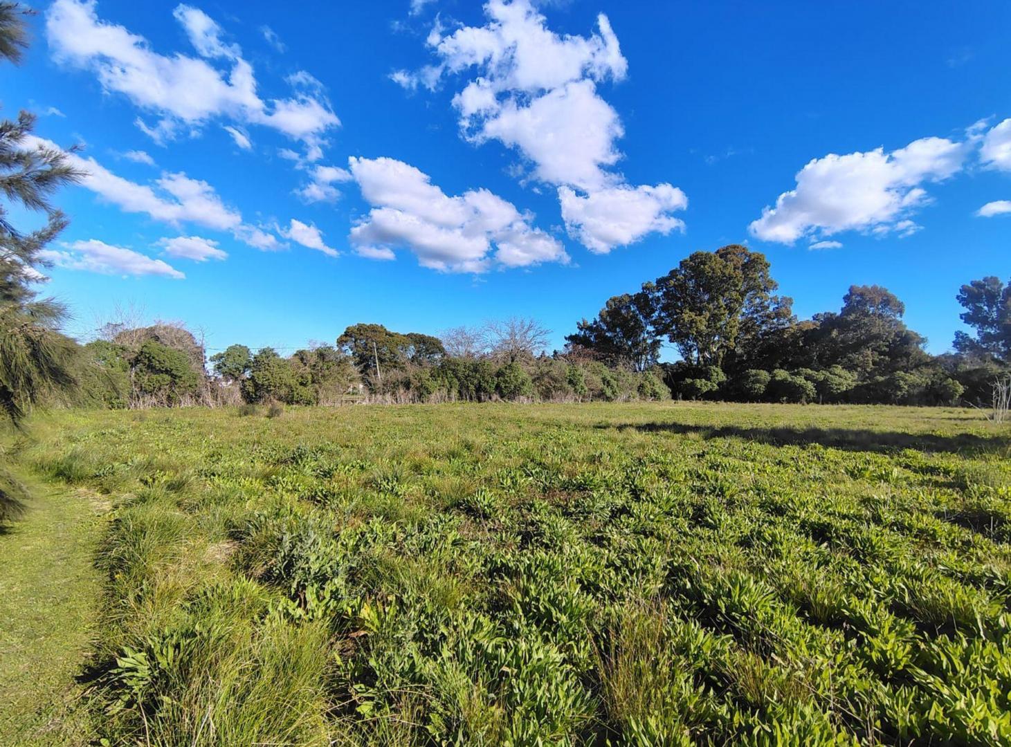 Foto de Lote en venta La Plata mas de 12.000 m2, imagen 3