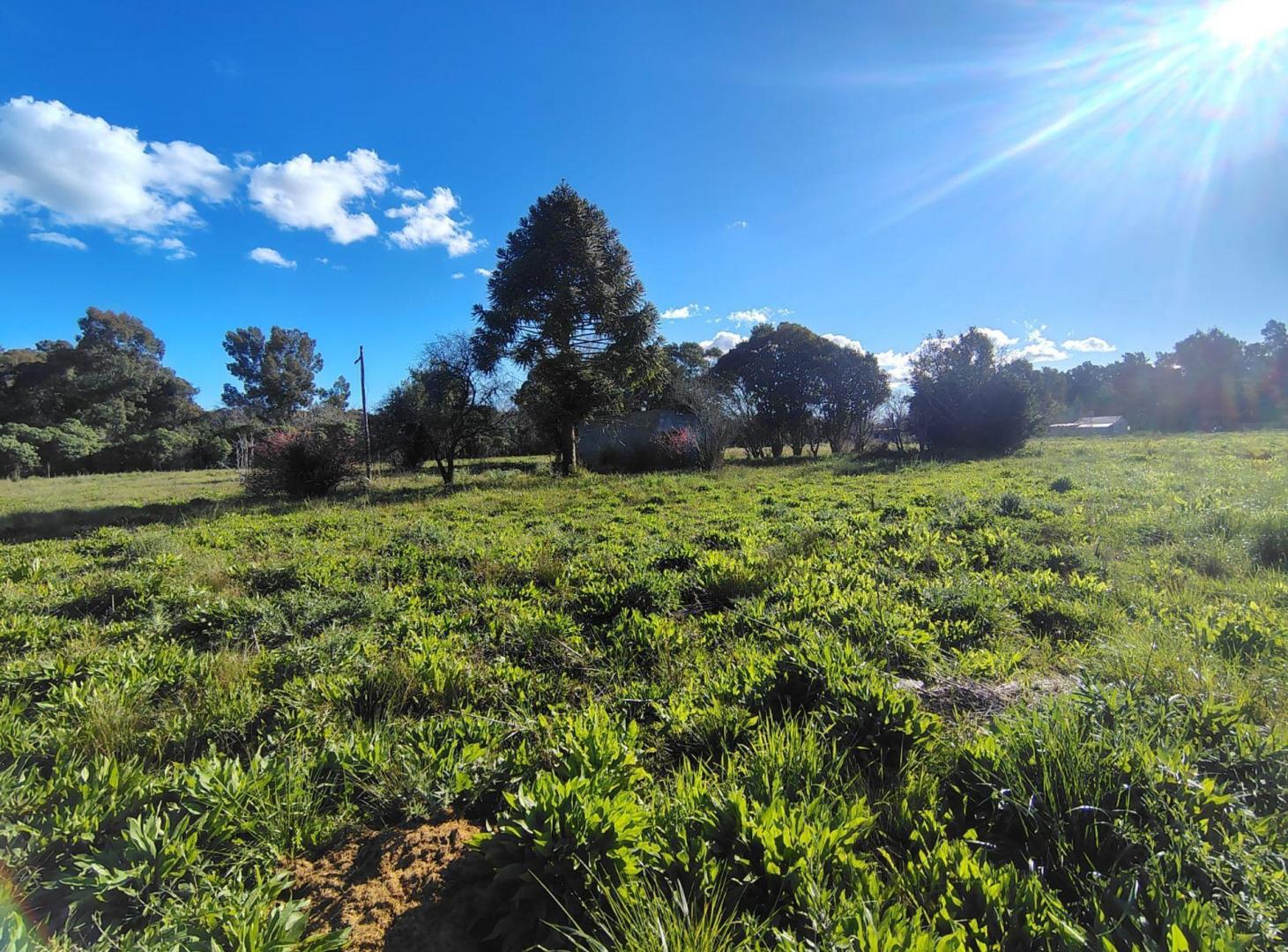Foto de Lote en venta La Plata mas de 12.000 m2, imagen 1