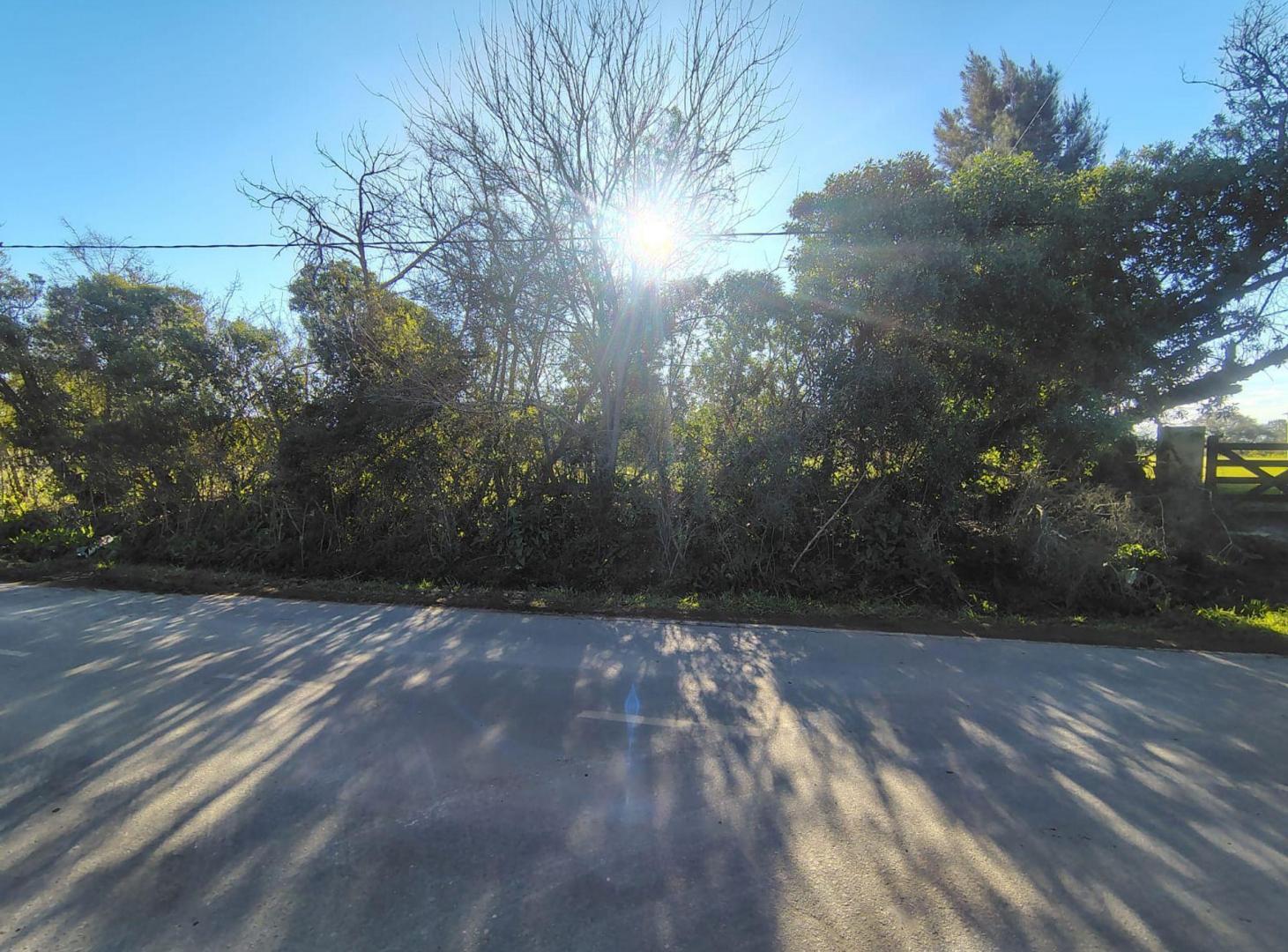 Foto de Lote en venta La Plata mas de 12.000 m2, imagen 2