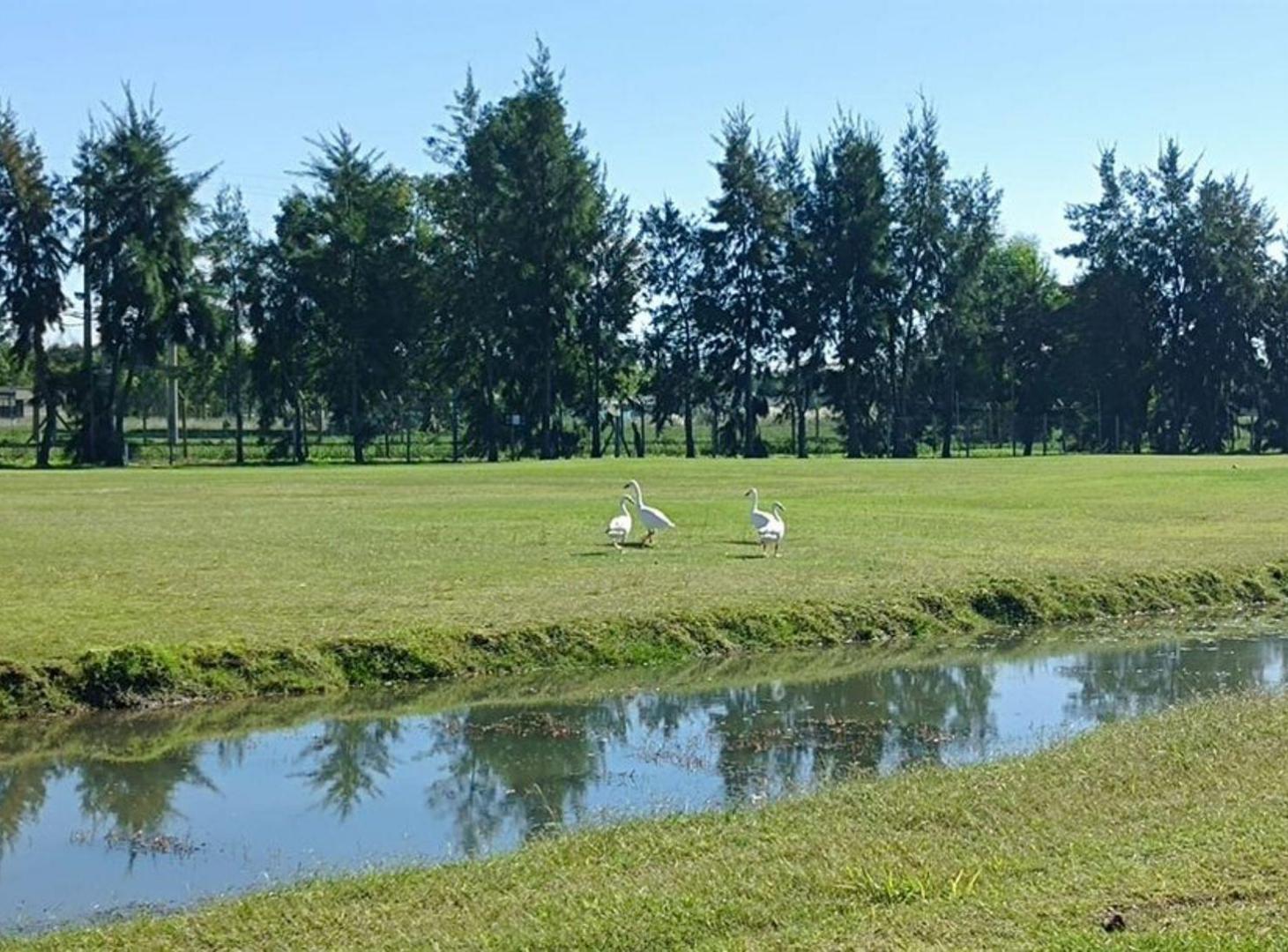Foto de LOTE VENTA HARAS DEL SUR III AL GOLF ESCRITURADO, imagen 2