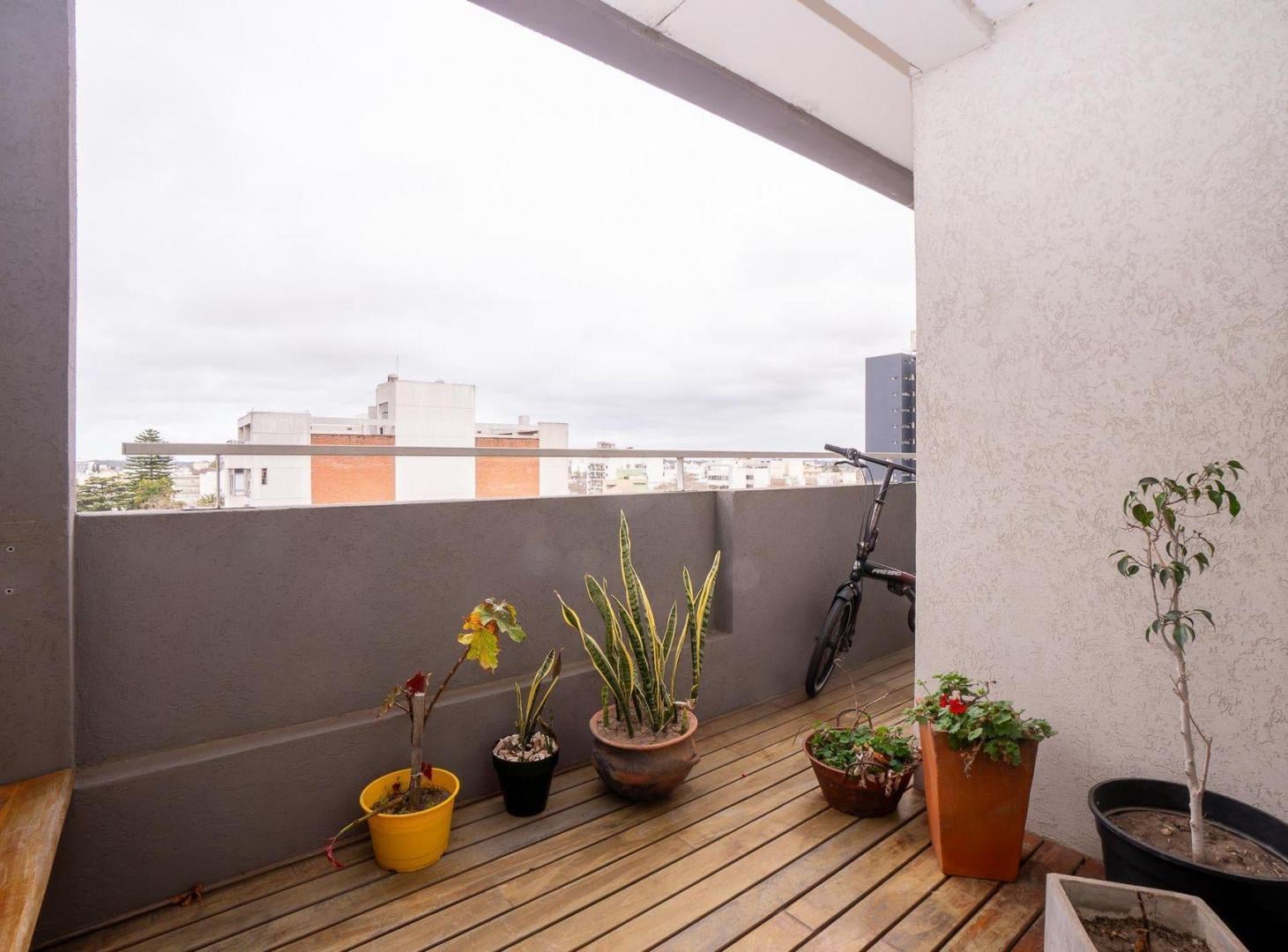Foto de DEPARTAMENTO VENTA LA PLATA 1 DORMITORIO COCHERA, imagen 3