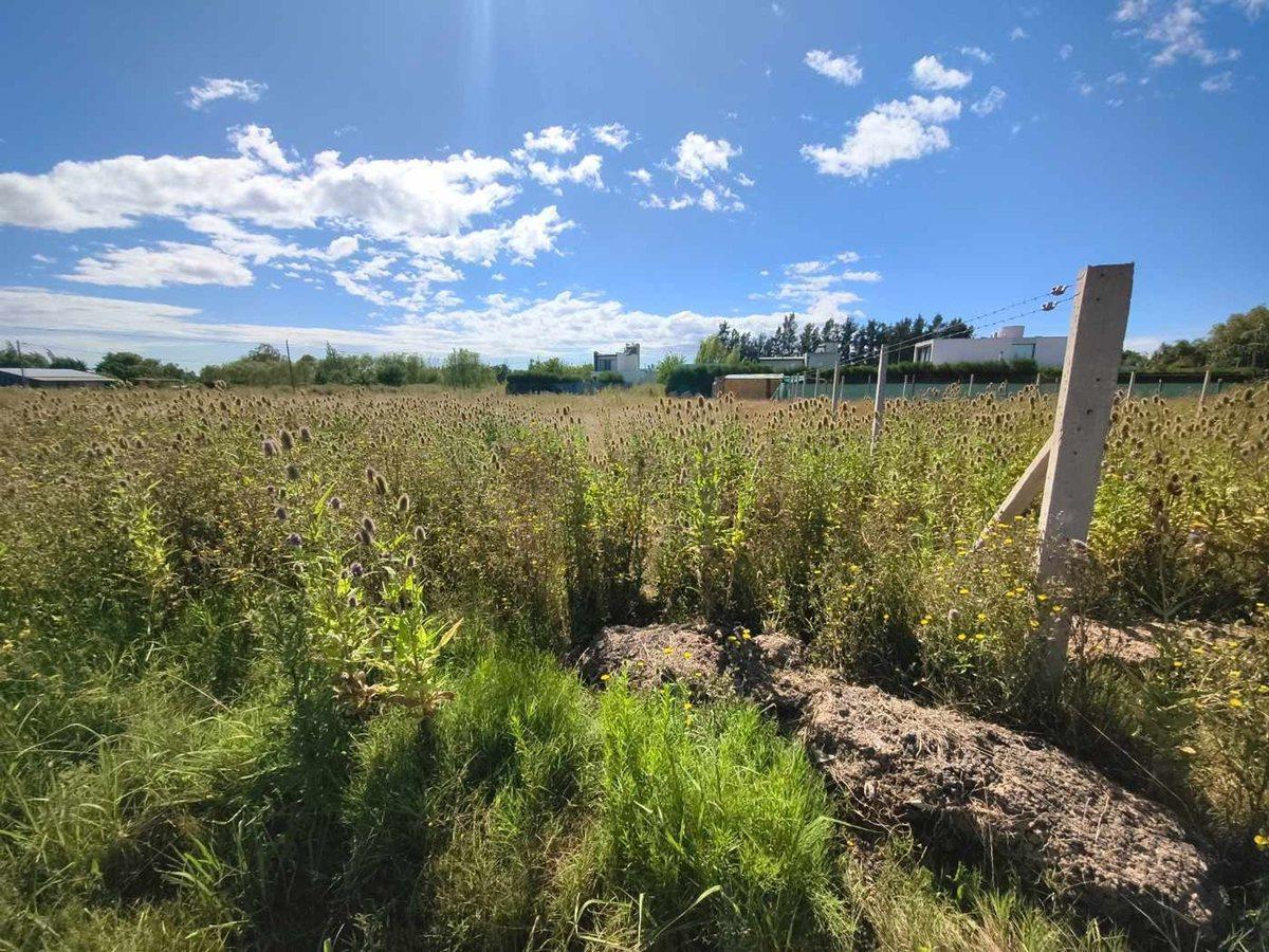 Foto de LOTE EN VENTA CITY BELL ESCRITURADO, imagen 2