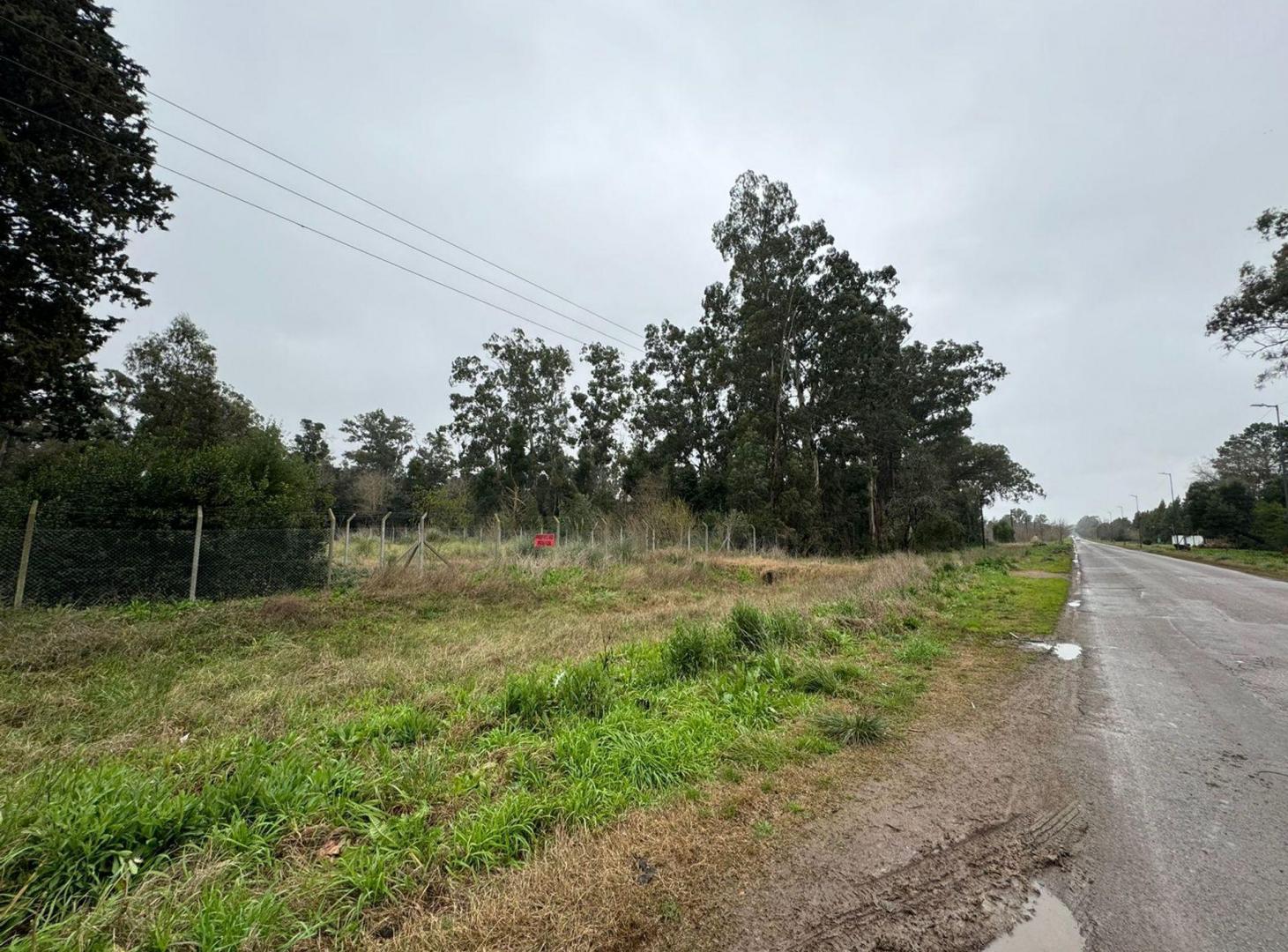 Foto de Lote en venta, La Plata. Sicardi, imagen 5