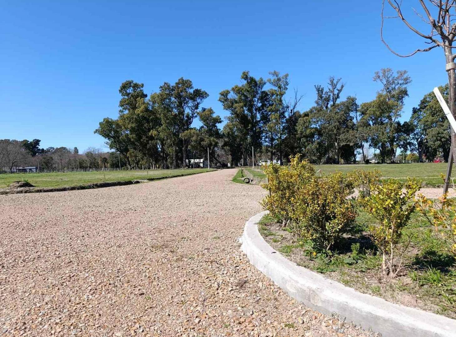 Foto de LOTE EN VENTA BERISSO CAMPOS DEL SUD, imagen 3