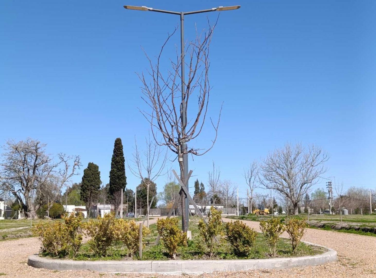 Foto de LOTE EN VENTA BERISSO CAMPOS DEL SUD, imagen 2