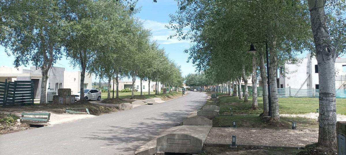Foto de LOTE VENTA HARAS DEL SUR III BRANDSEN, imagen 4