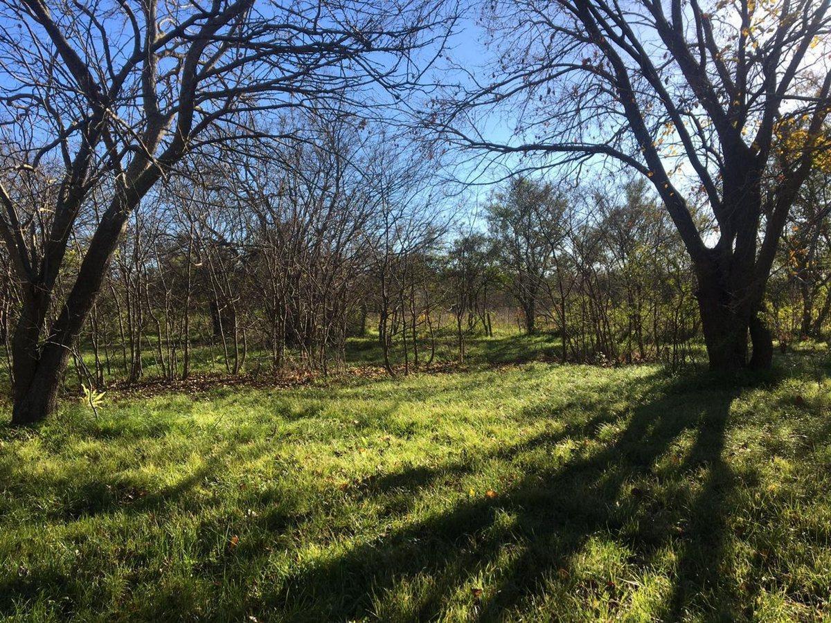 Foto de LOTE TERRENO EN VENTA EN VILLA ELISA ENTRE CAMINOS, imagen 1