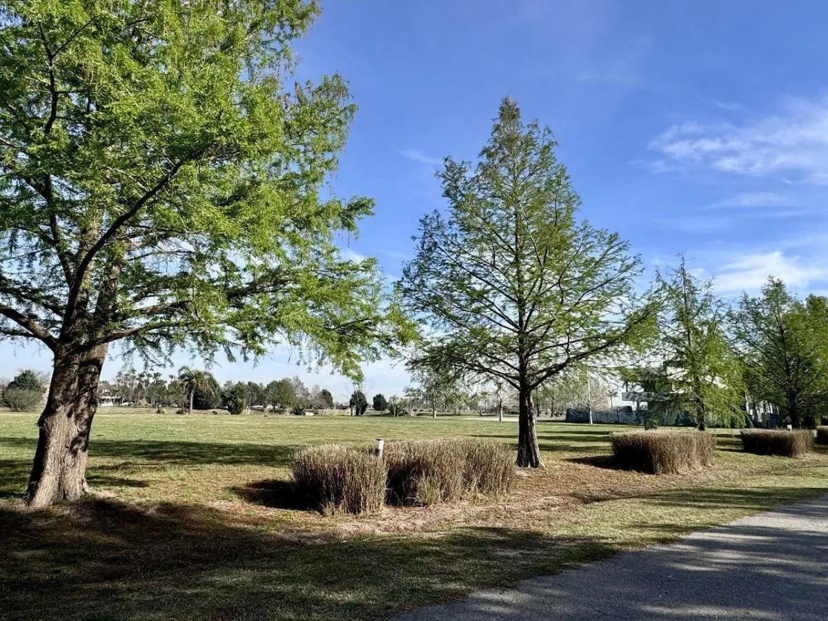 Terreno en venta en Roldan - Puerto Roldan 2
