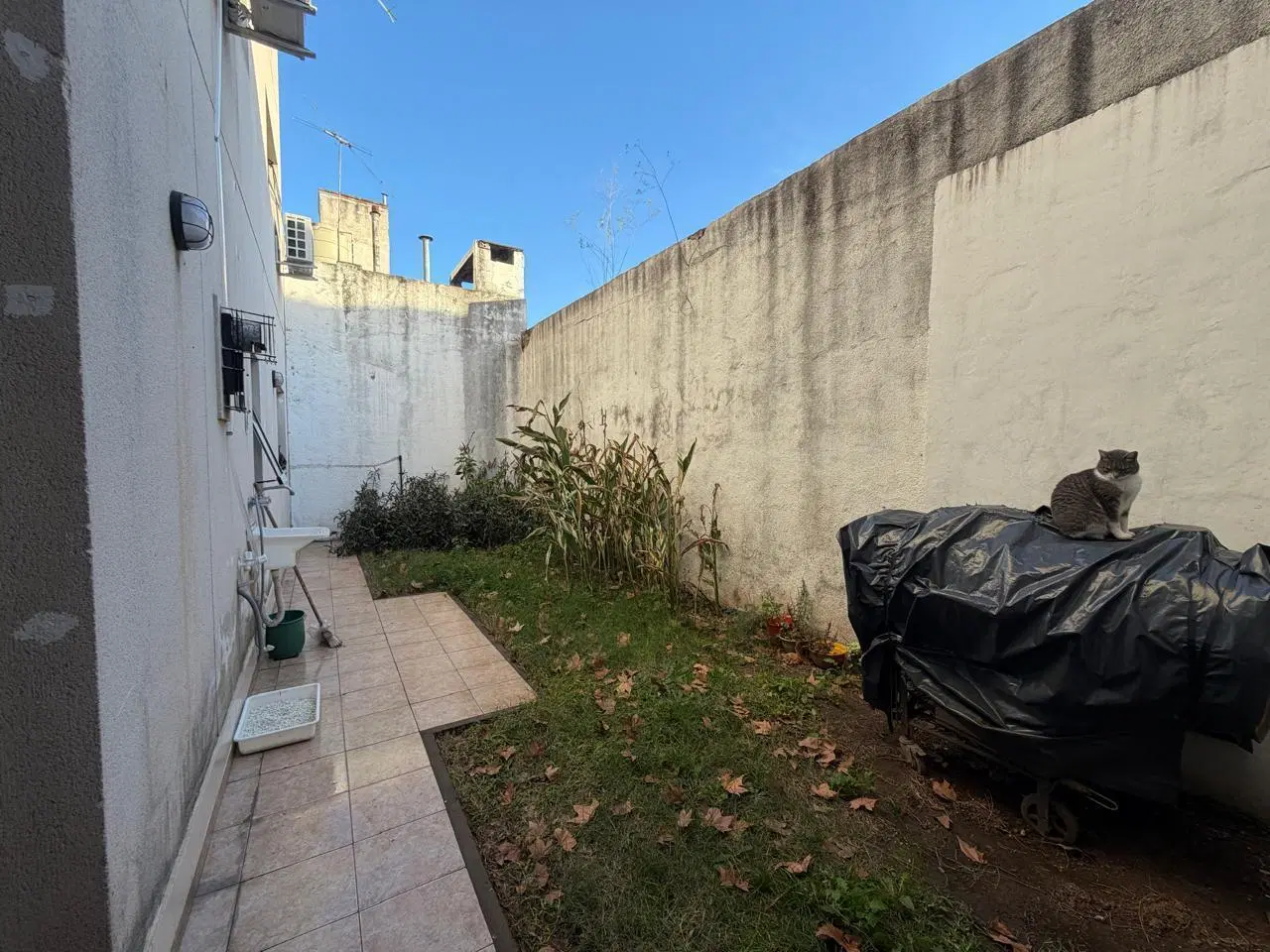 Departamento en venta dos dormitorios, patio y cochera en Arroyito 4