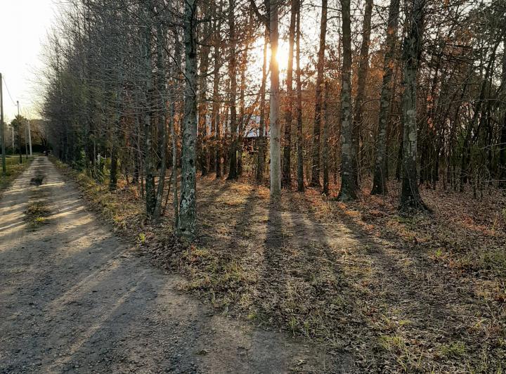 Foto de Terreno en venta en La Catalina - Roldán, imagen 2