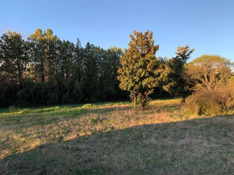 Foto de Terreno en venta en La Catalina - Roldán, imagen 4