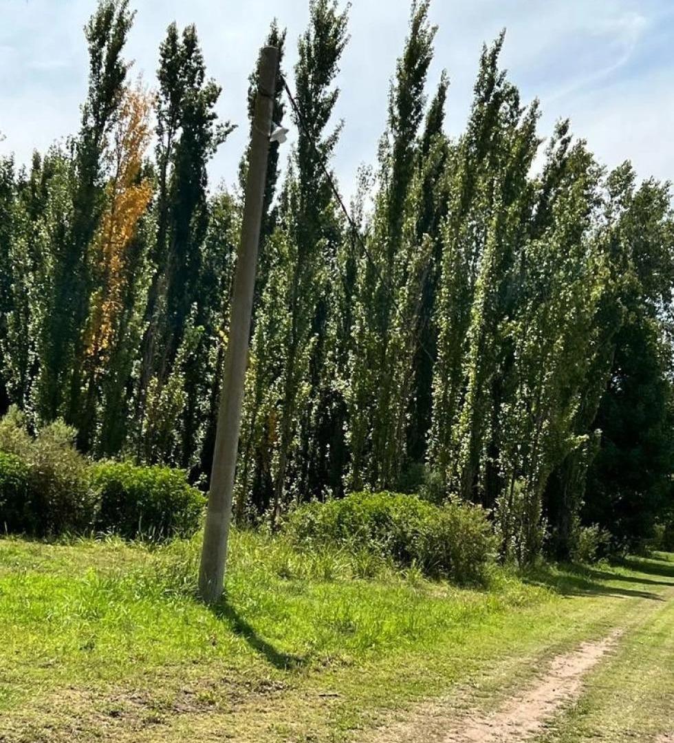 Foto de Terreno en venta en La Catalina - Roldán, imagen 3