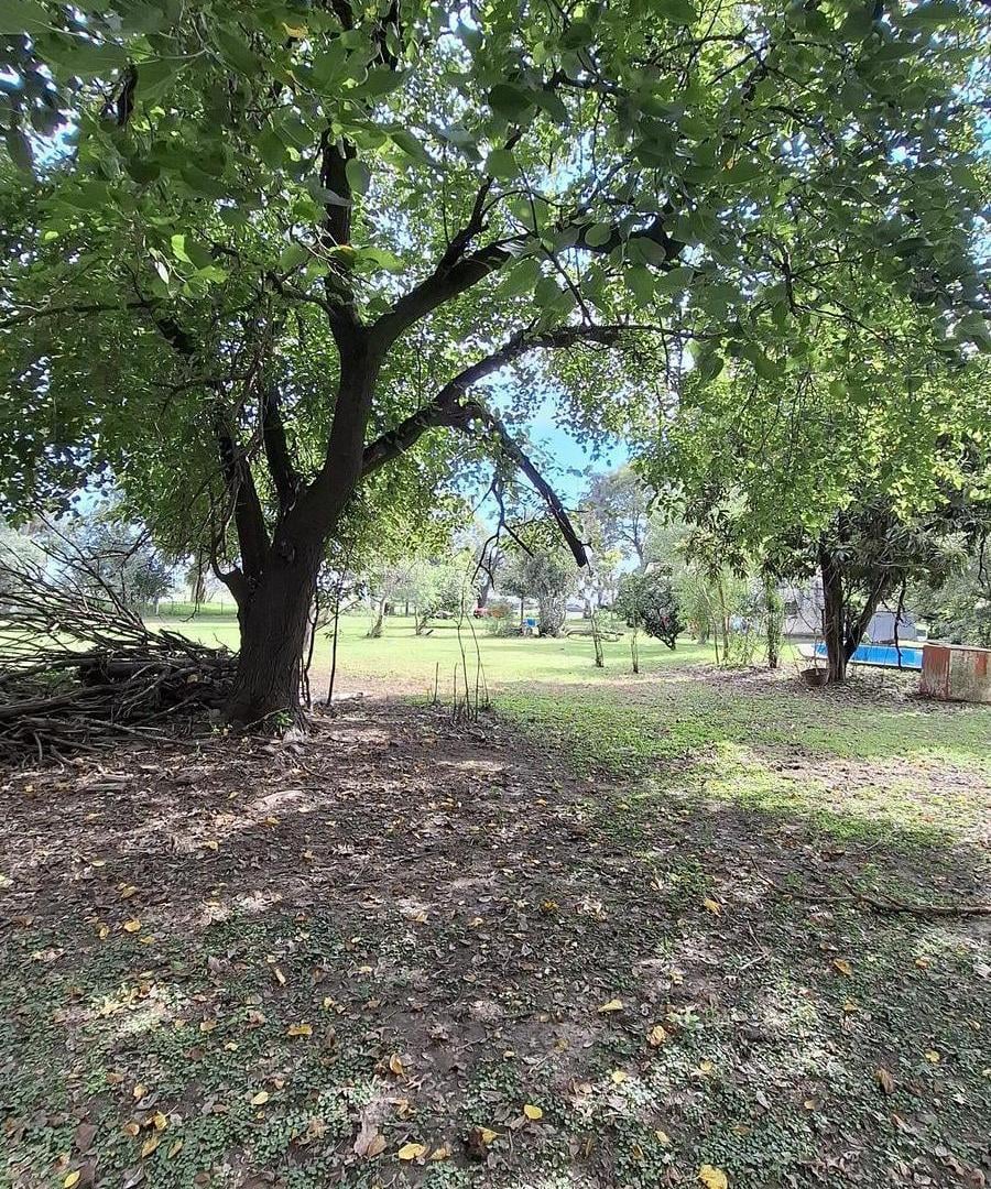 Foto de Venta de terreno con casa a reciclar 4500 mts Villa La Ribera - Iriondo, imagen 5