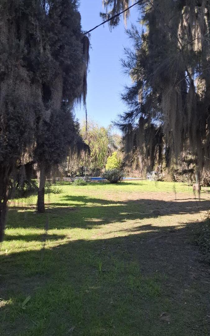Foto de Alquiler de casa en Villa La Ribera con pileta y amplio parque, imagen 2