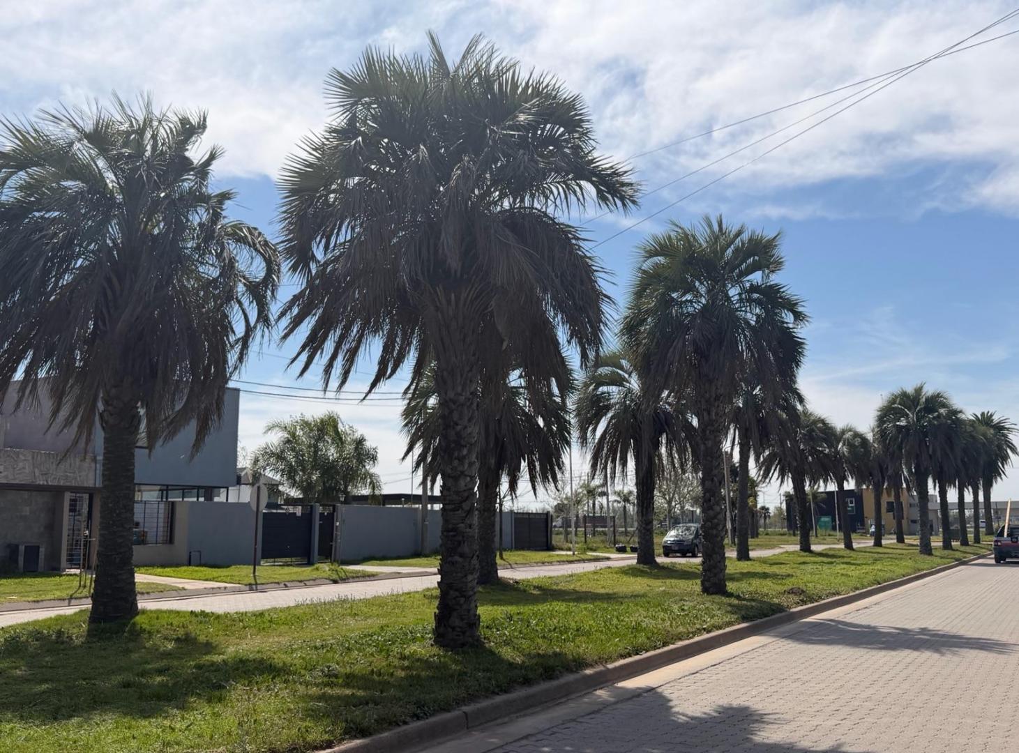 Foto de Terreno en venta en Tierra de Sueños 3, Roldan, imagen 1