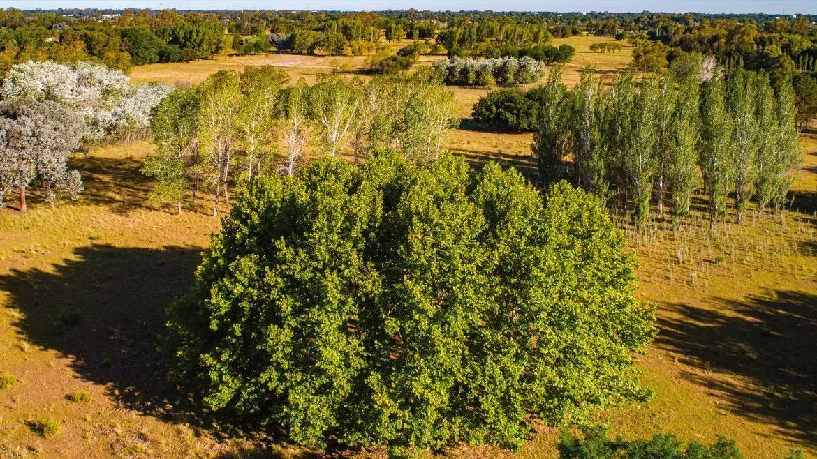 Lote/terreno en venta Azurra Tortugas - Pilar - sector 3 5