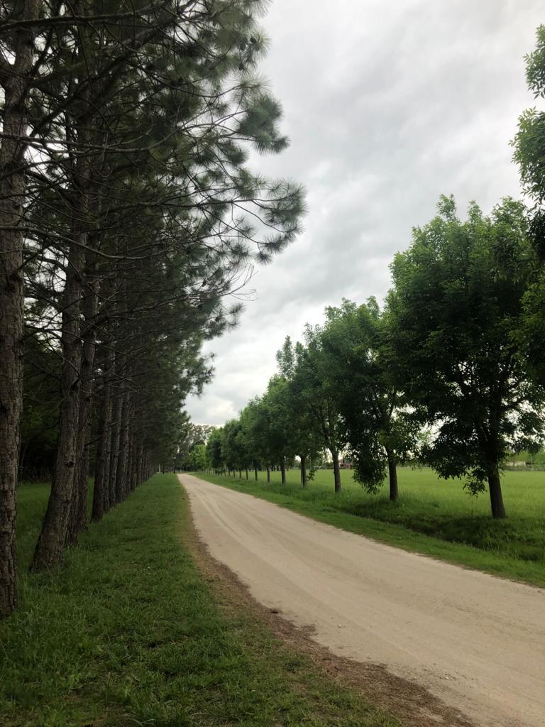 LOTE EN CAMPOS DE ROCA II