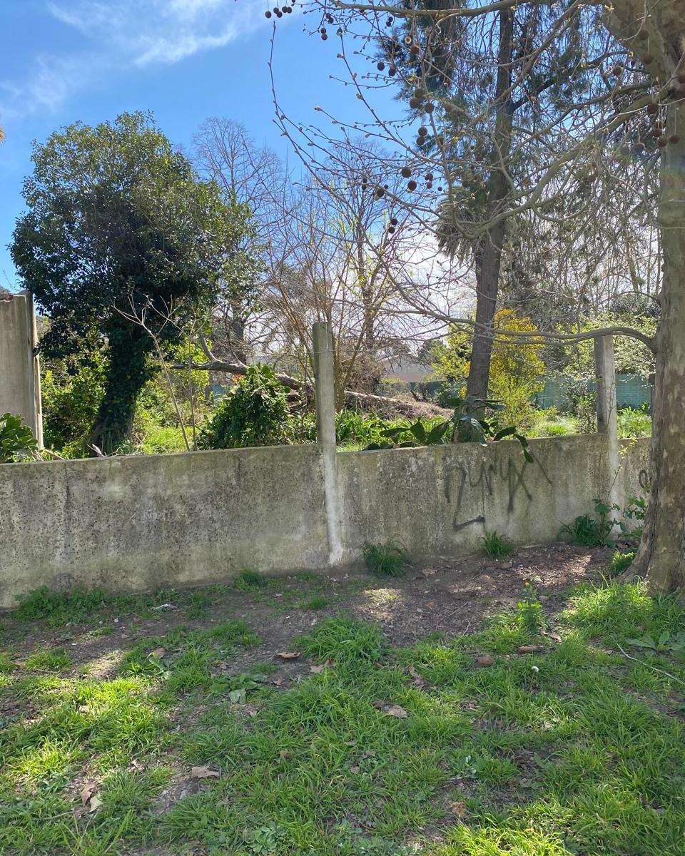 Lote en Venta - Barrio San Carlos (La Plata - Bs.As.) - Gran Oportunidad