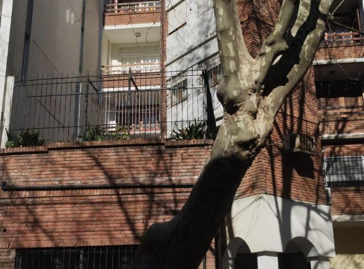 EXCELENTE SEMIPISO EN ALQUILER  4