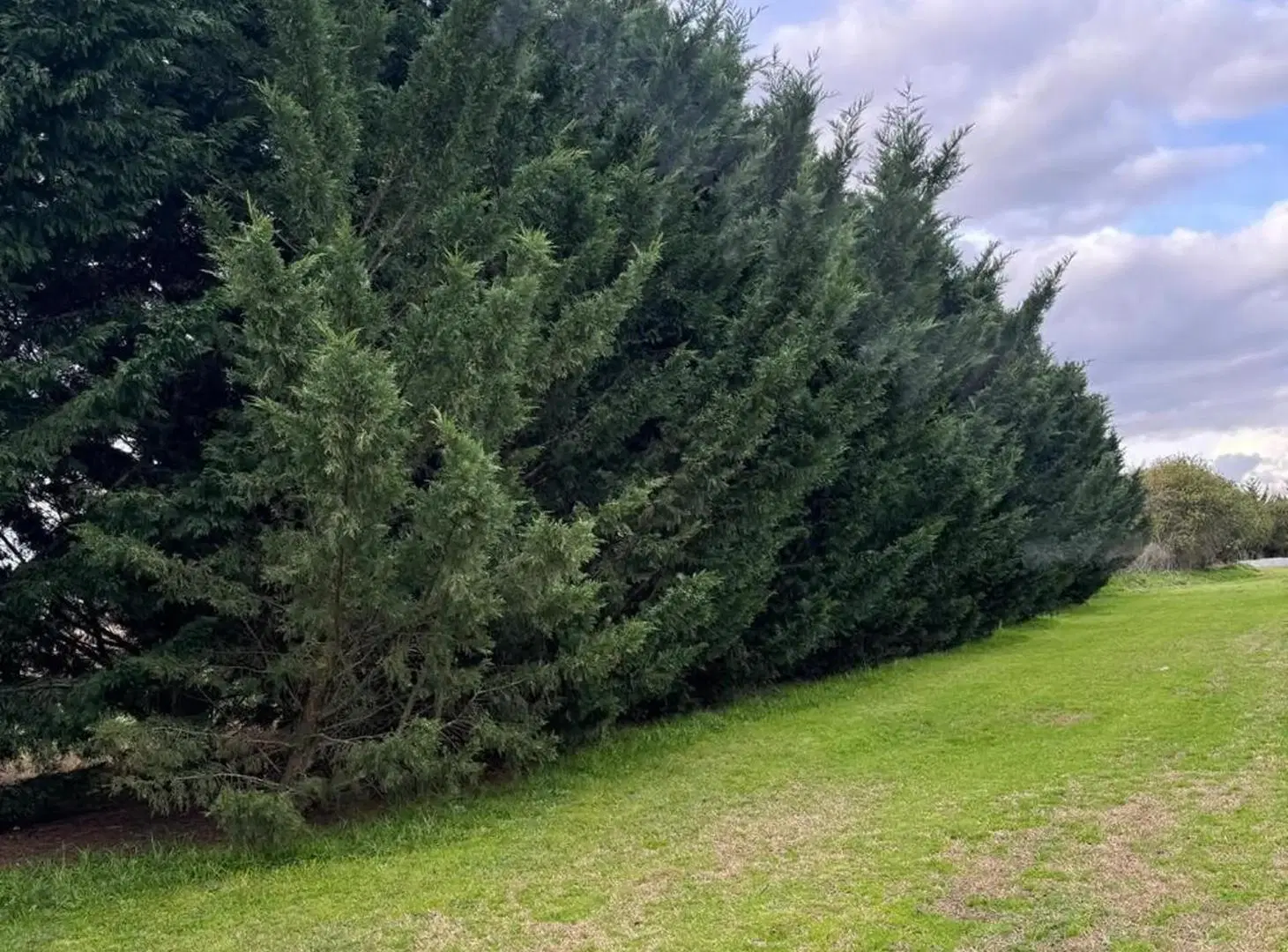 QUE !! MARAVILLOSAS OPORTUNIDAD 302 HECTAREAS EN VENTA EN GIRIBONE SOBRE RUTA 58 3