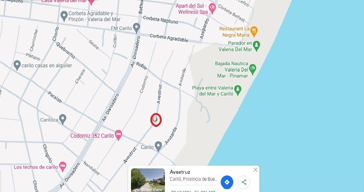Foto de En Carilo, lote en venta en calle Avestruz. Tercera linea de mar, imagen 3