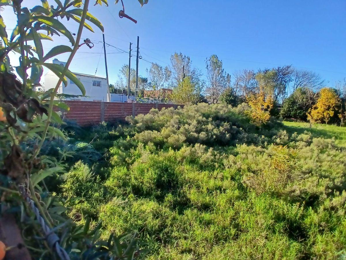 Foto de Lotes en venta | Av. 19 esquina Calle 79, imagen 3