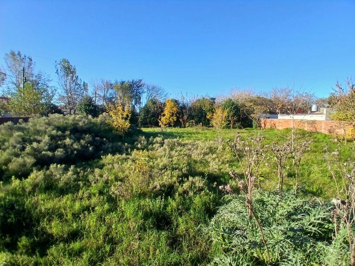 Foto de Lotes en venta | Av. 19 esquina Calle 79, imagen 1