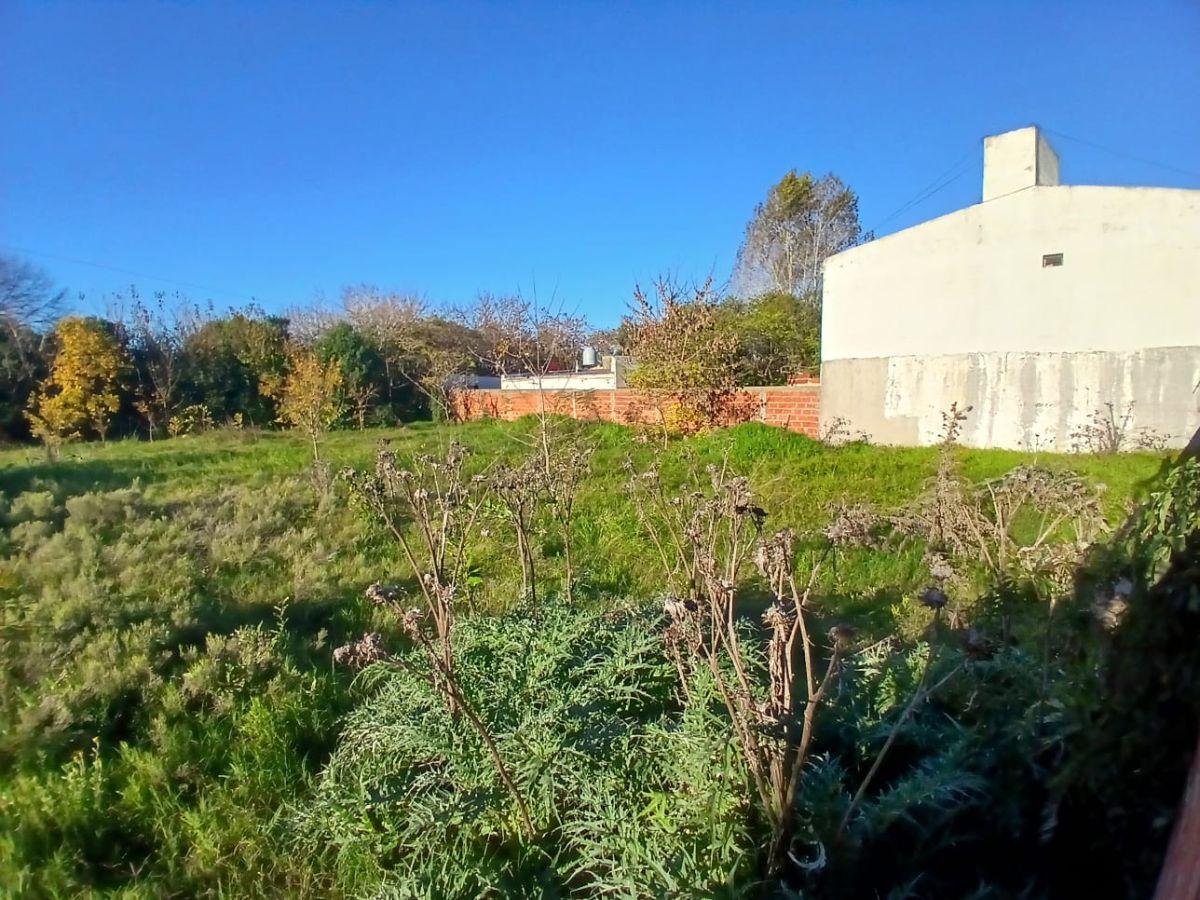 Lotes en venta | Av. 19 esquina Calle 79