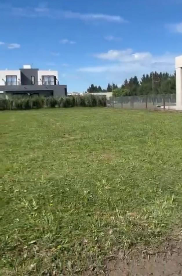 Foto de Venta de lote en country horizontes al sur, imagen 3