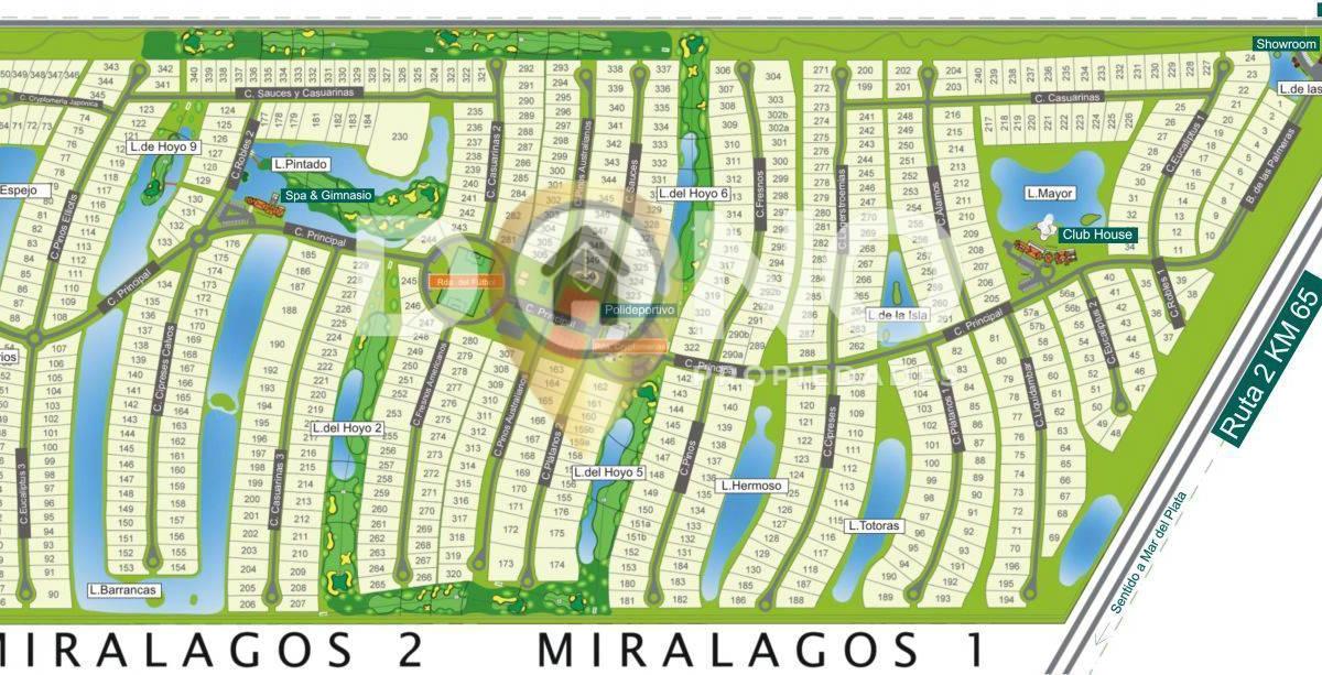 Foto de excelente lote miralagos 2, imagen 3