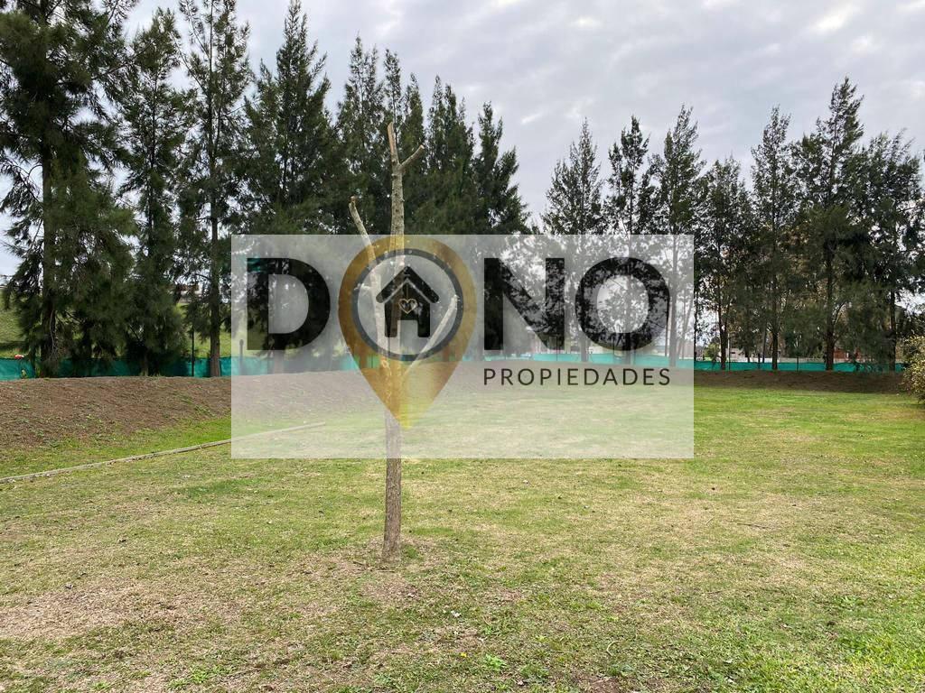 Lote. | Las Acacias - Berazategui 4