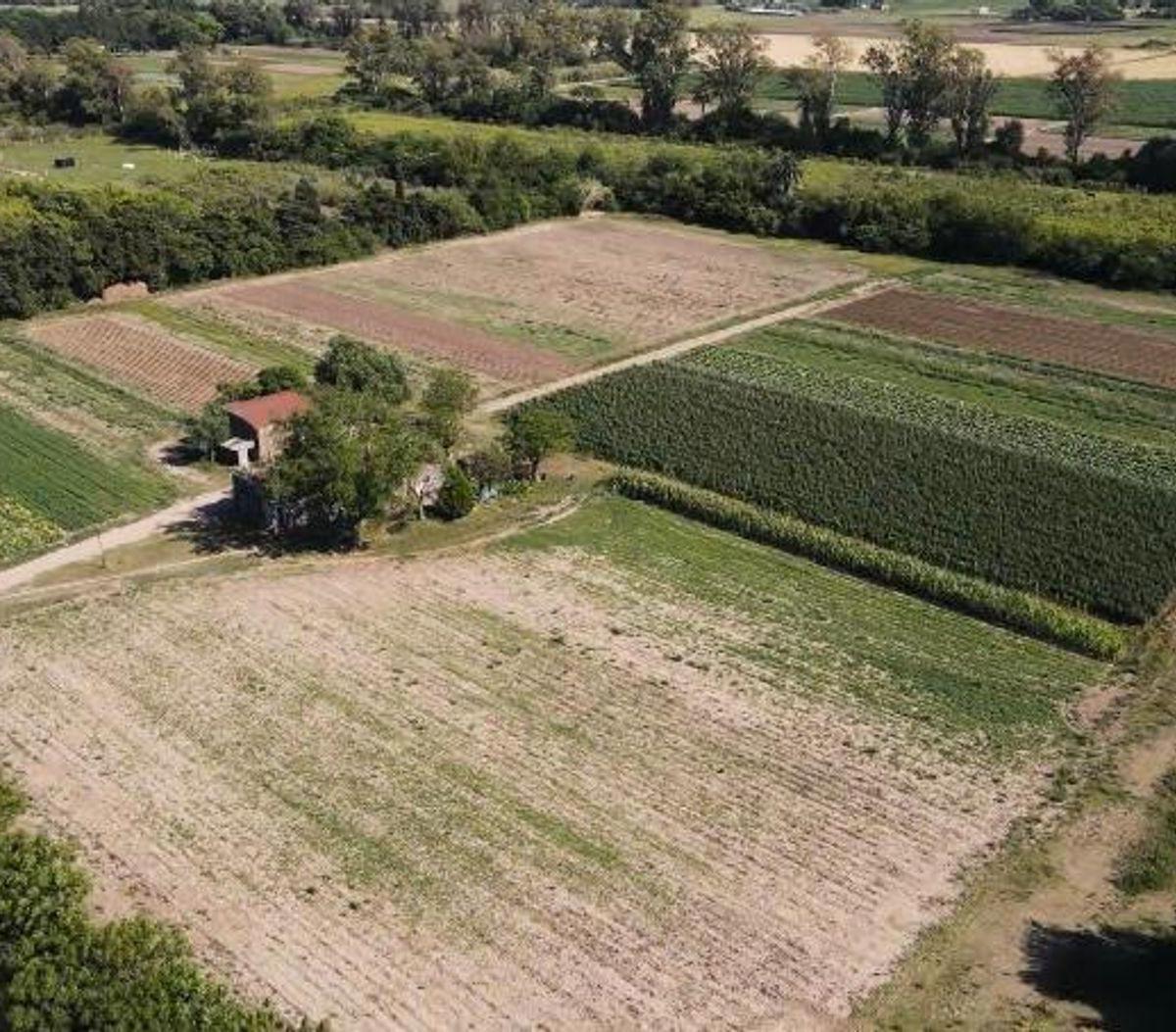 Remax Vende Lote N° 41 Loteo San Miguel 5