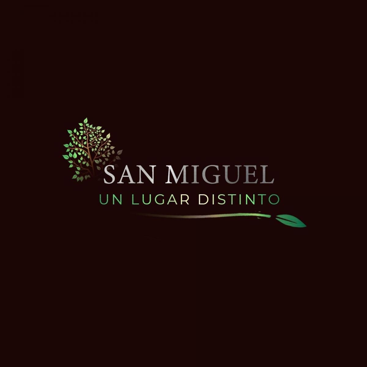 Remax Vende Lote N° 41 Loteo San Miguel 2