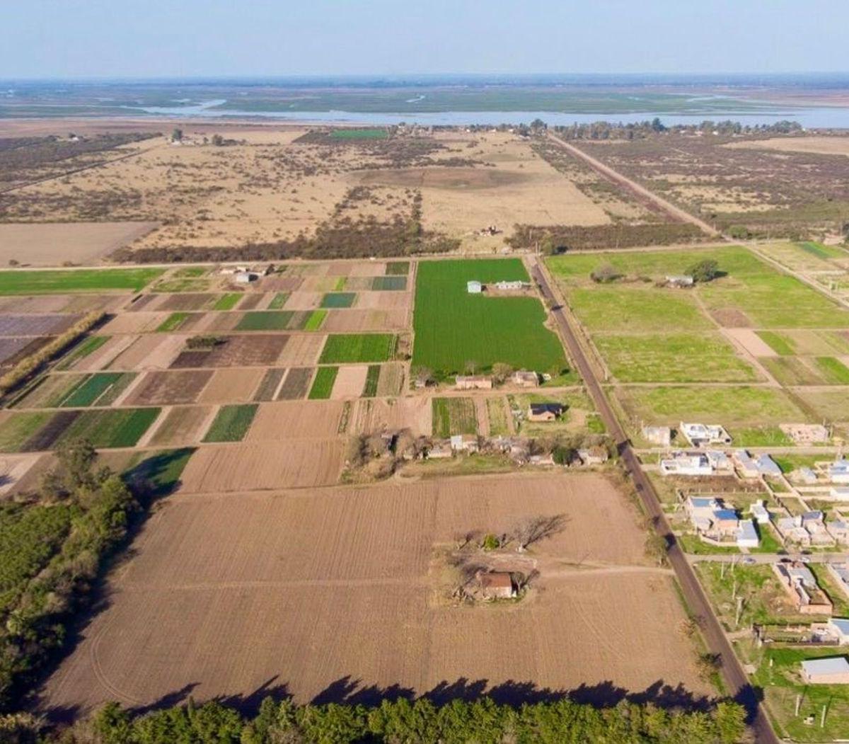 Remax Vende Lote, Angel Gallardo - Loteo San Miguel 2