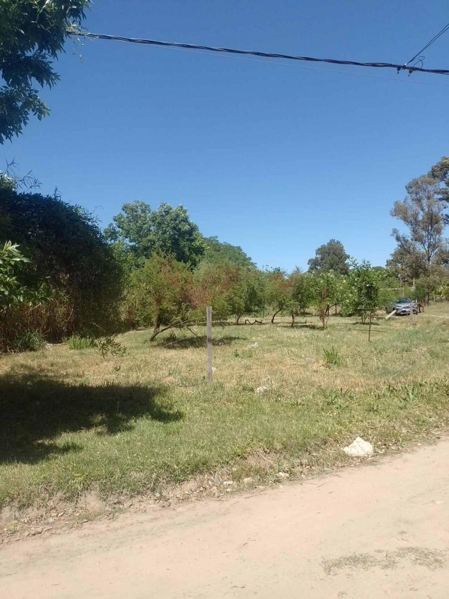 Lote en Venta a Tan Solo 150 Mtr de Ruta 1 Km5.5 3