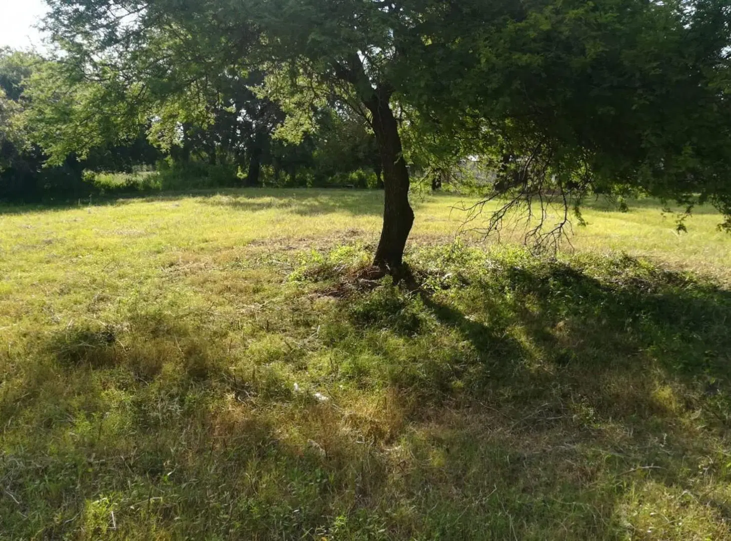 AMPLIO TERRENO EN VENTA EN COLASTINE NORTE 2