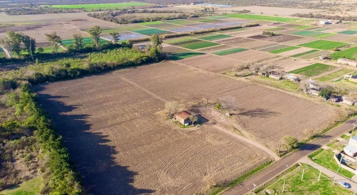 LOTEO SAN MIGUEL - TERRENO EN VENTA 2